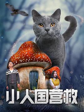 DVD高清完整版