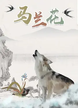 DVD高清完整版