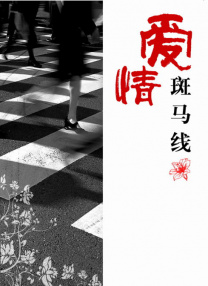 全集免费观看超清